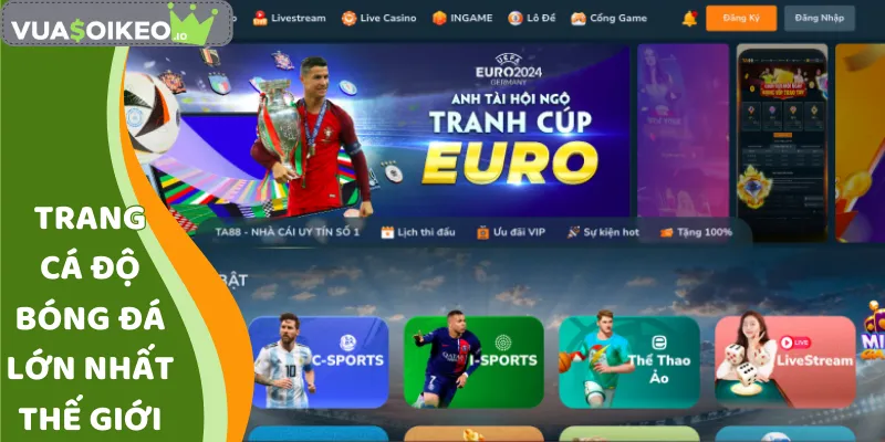trang cá độ bóng đá lớn nhất thế giới